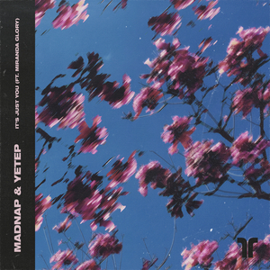 午夜视频在线观看www在线
