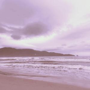 午夜视频在线观看www在线
