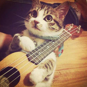 午夜视频在线观看www在线
